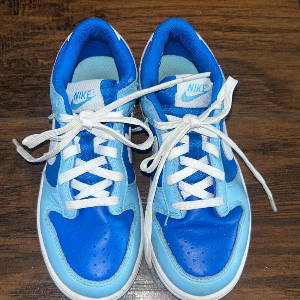 Argon Low Dunks size 13